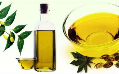 Benefits of Neem Oil, a Main Ingredient in Cultured Naturals Butters and Oils
