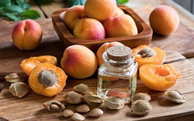 Therapeutic Benefits of Apricot Oil and why we use it in all our Butters and Oils
