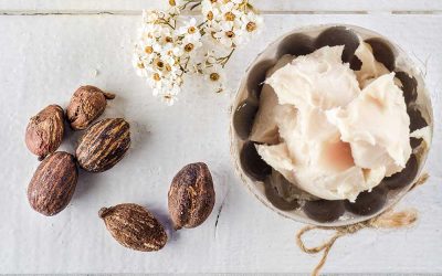 MOTHER NATURE’S CONDITIONER: SHEA BUTTER